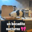 Figurinha