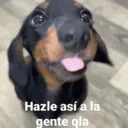 Çıkartma