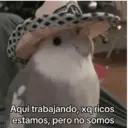 Figurinha
