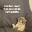 Figurinha