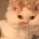 ਸਟਿਕਰ