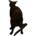 ملصق