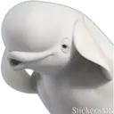 Adhesiu