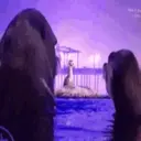 स्टिकर