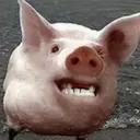 Figurinha