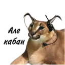 Stiker