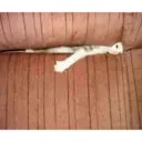Stika