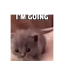 Stika