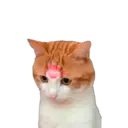 Stika