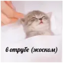 Stika