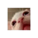 Stika
