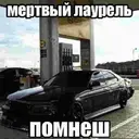 Adhesiu