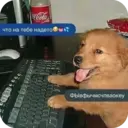 ステッカー