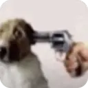 ステッカー
