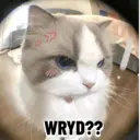 Стикер