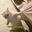 Стикер