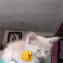 Figurinha