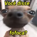 Nhãn dán