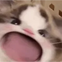 ステッカー