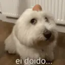 Çıkartma