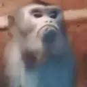 Çıkartma