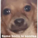 Figurinha