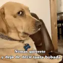 Çıkartma