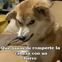 Figurinha