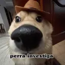 Figurinha