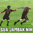 Stika