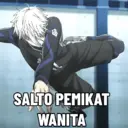 Stika