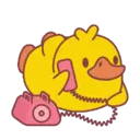 贴纸