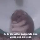 ملصق