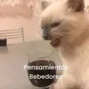 ملصق