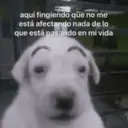 ملصق