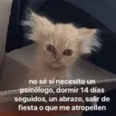 ملصق
