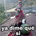 Stika