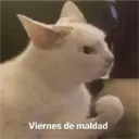Nhãn dán