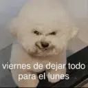 Nhãn dán