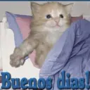 Naljepnica
