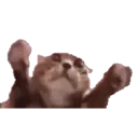 ਸਟਿਕਰ