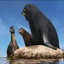 स्टिकर