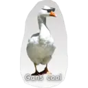 Стикер