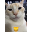 สติกเกอร์