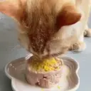 ملصق