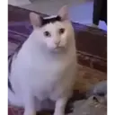 Çıkartma