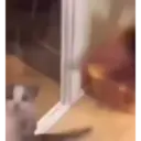 Çıkartma