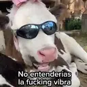 ملصق