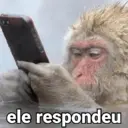 Figurinha