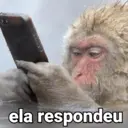 Figurinha